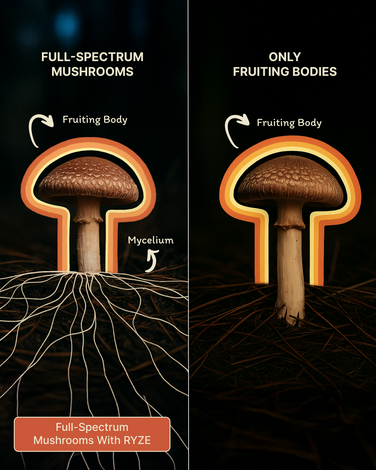 RYZE Superfoods Facebook ad