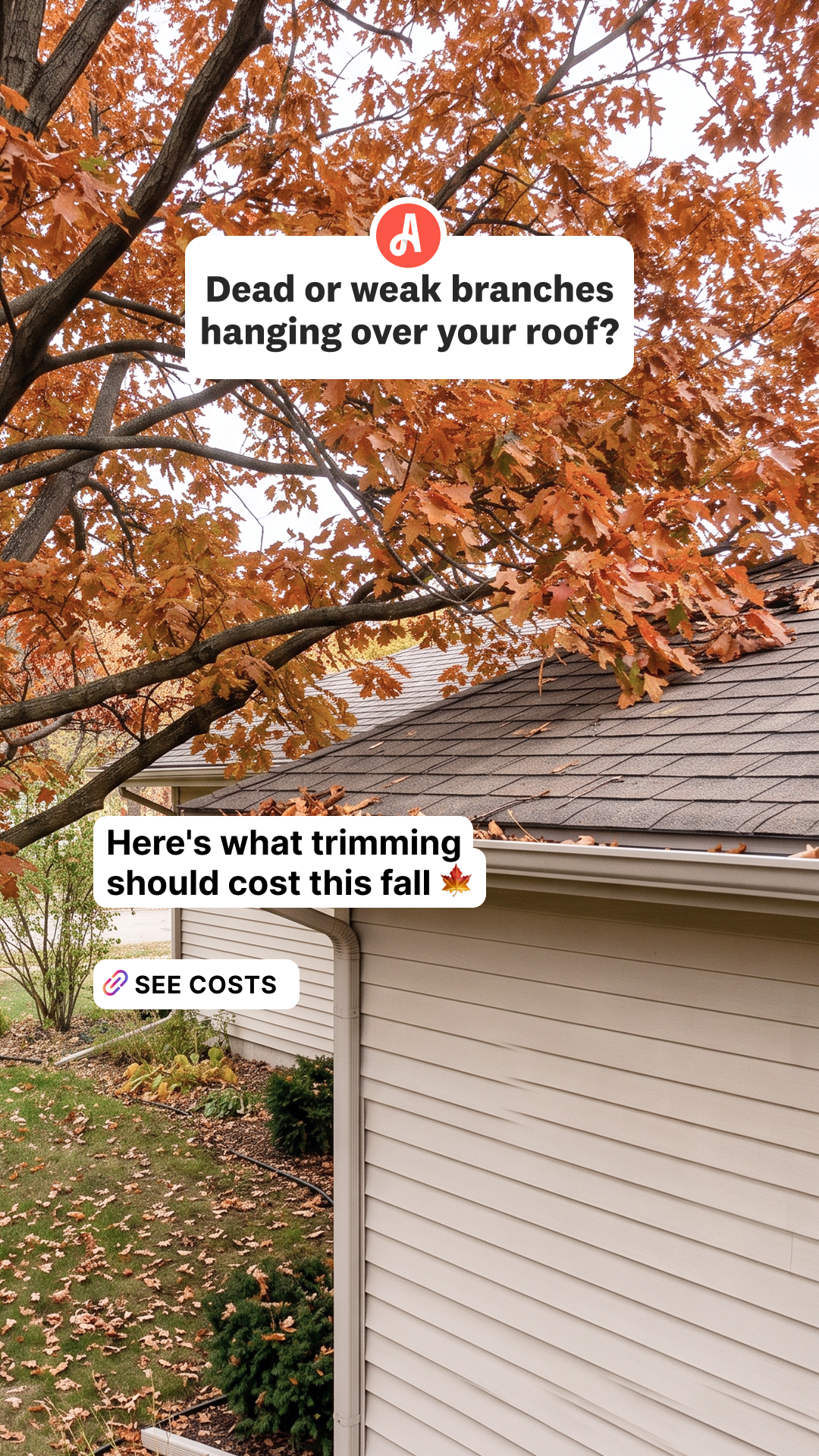 Angi Facebook ad: Skilled pros in your area