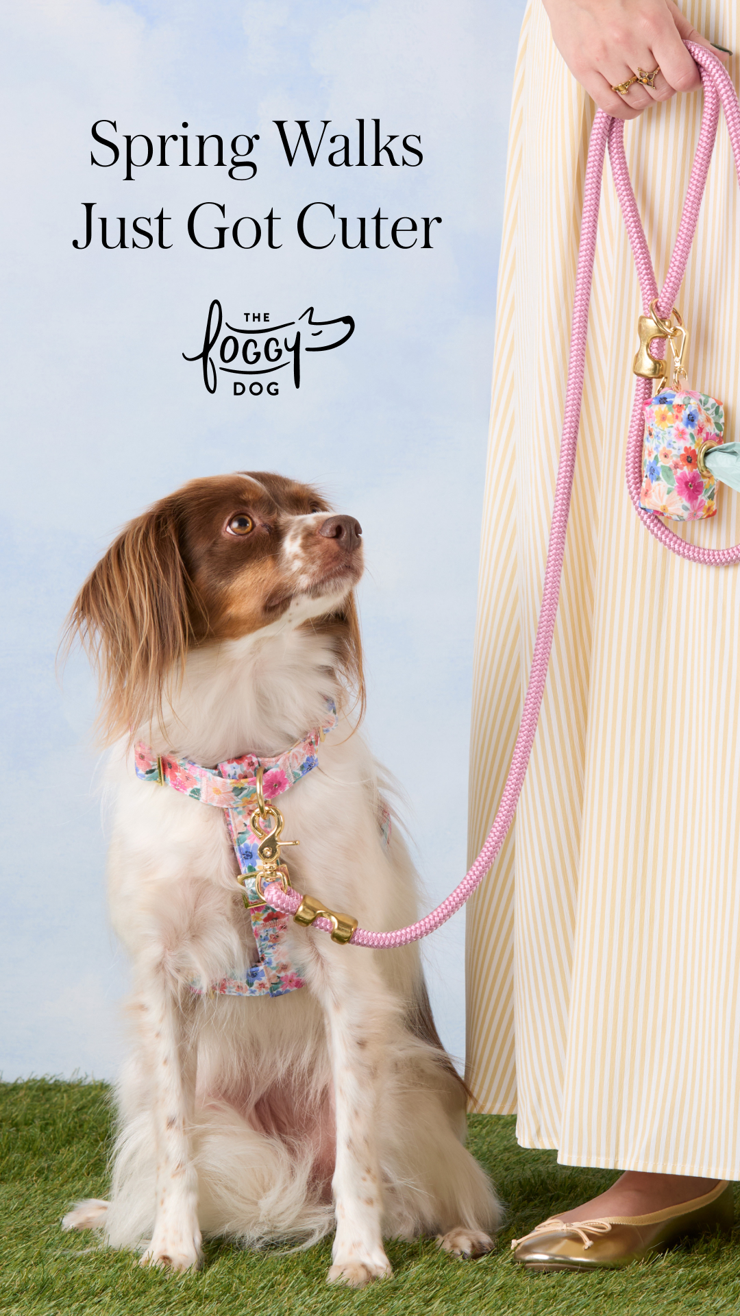 The Foggy Dog Facebook ad