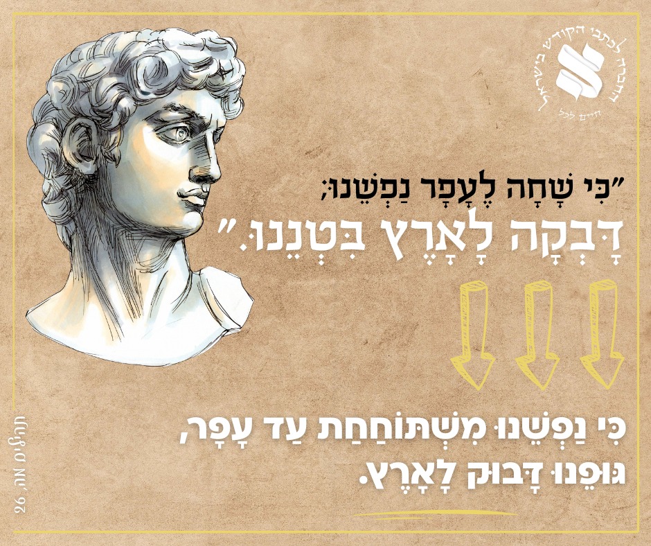 כתבי הקודש - haktuvim.co.il Facebook ad: Study