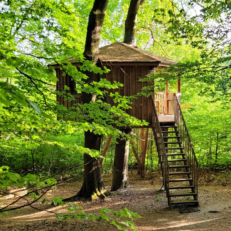 Baumhaushotel Solling Facebook ad: Übernachten im Baumhaus