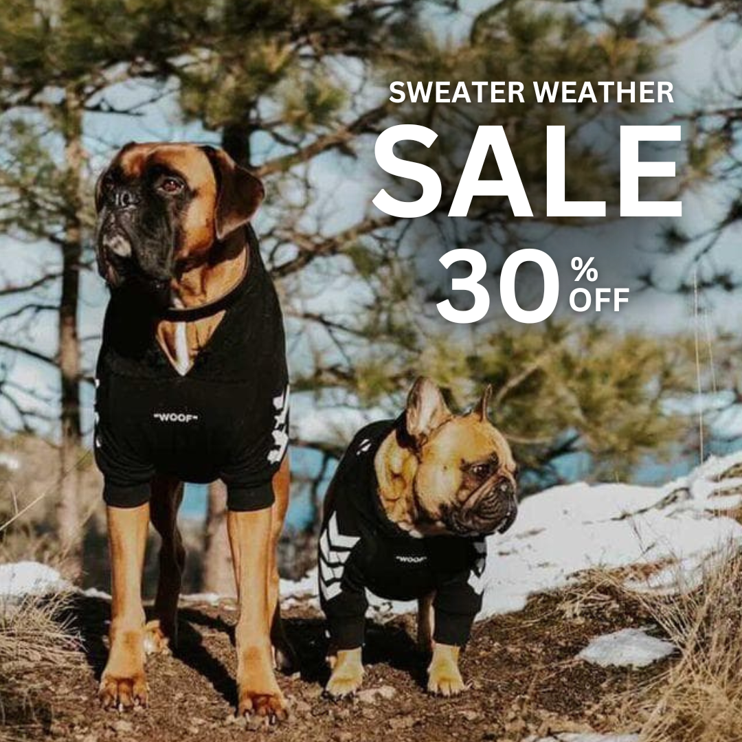 Spark Paws Facebook ad