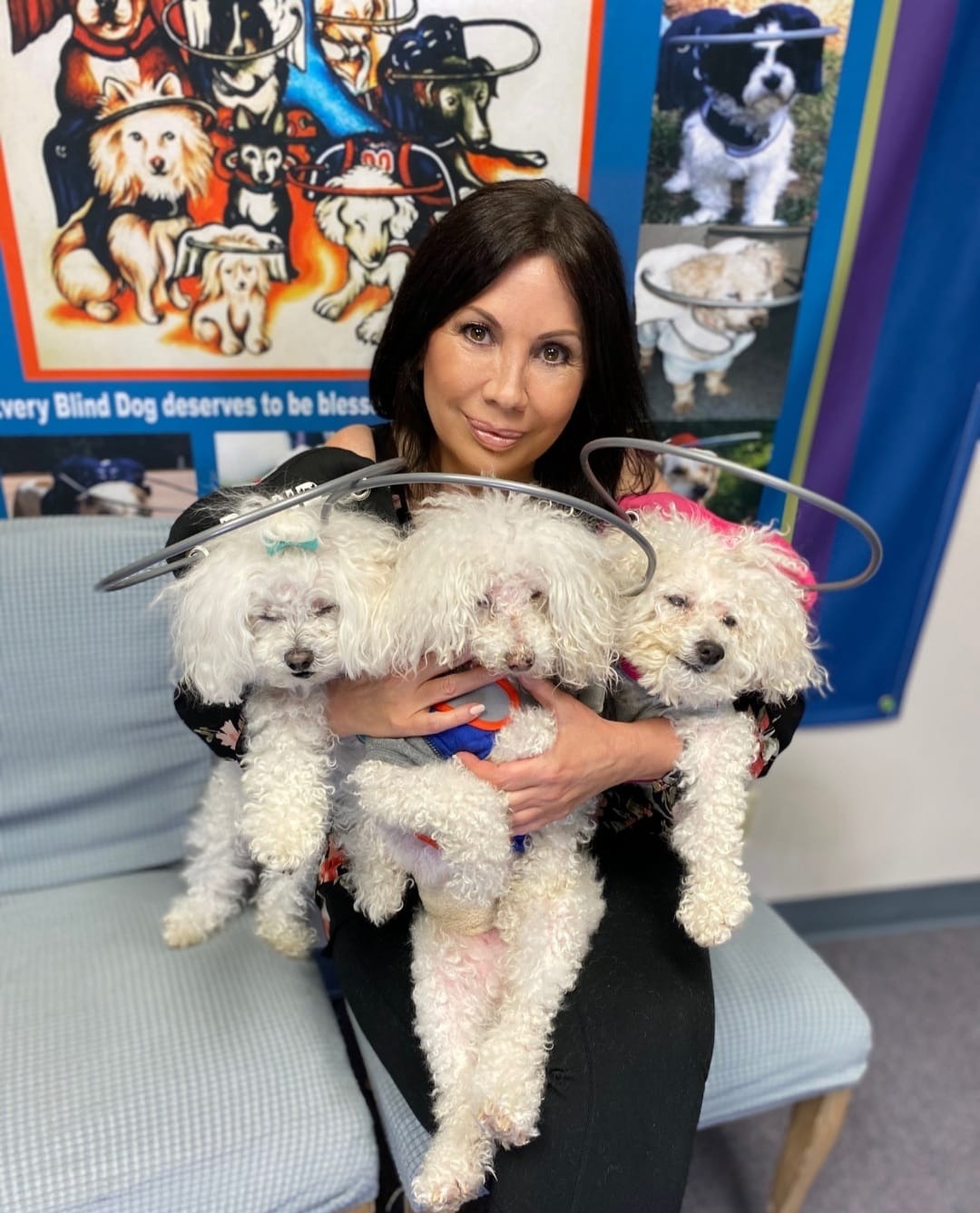Second Chances For Blind Dogs Foundation Facebook ad: We are advocates for Blind Dogs.