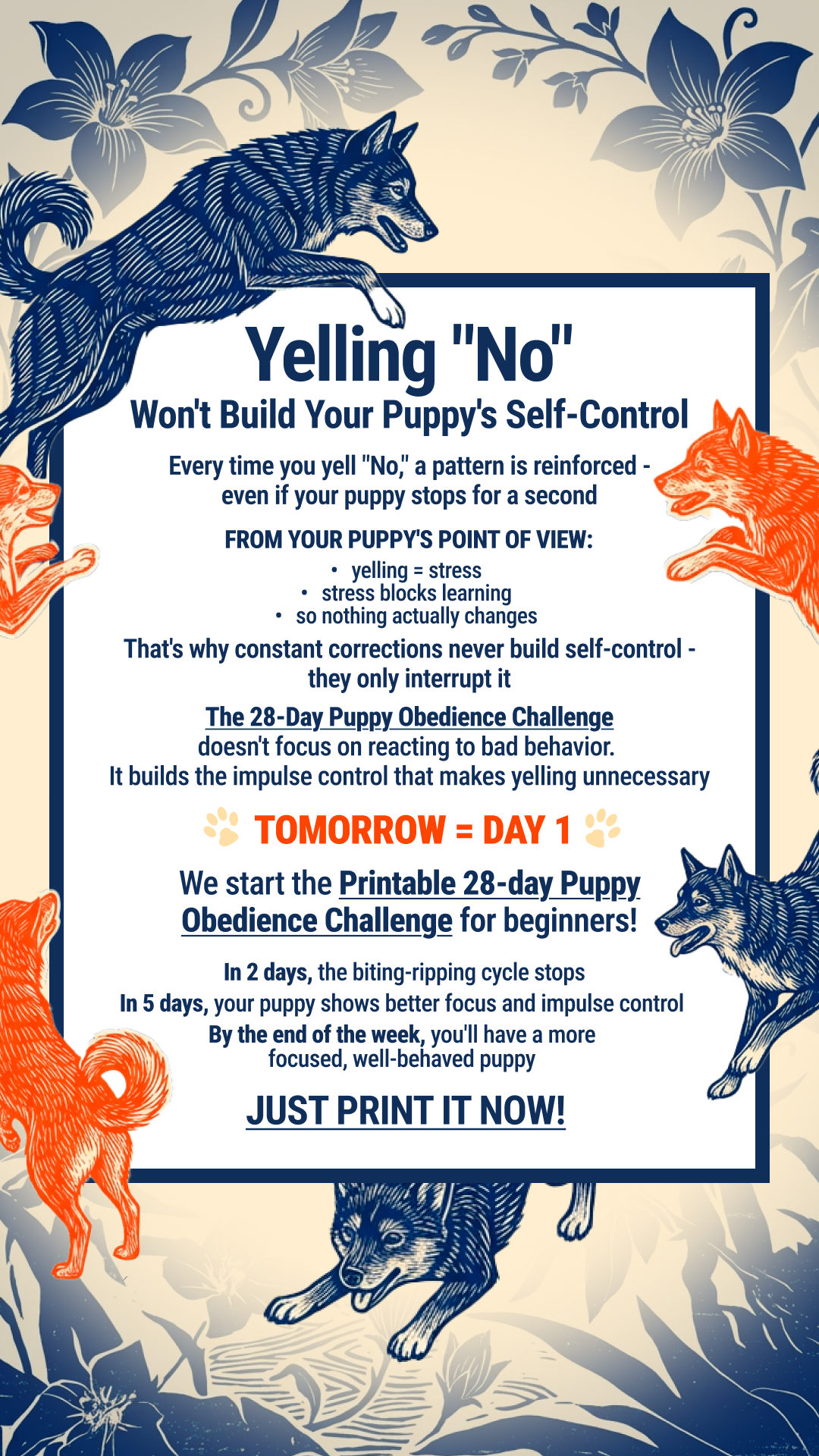 Dog Training & Tips Facebook ad