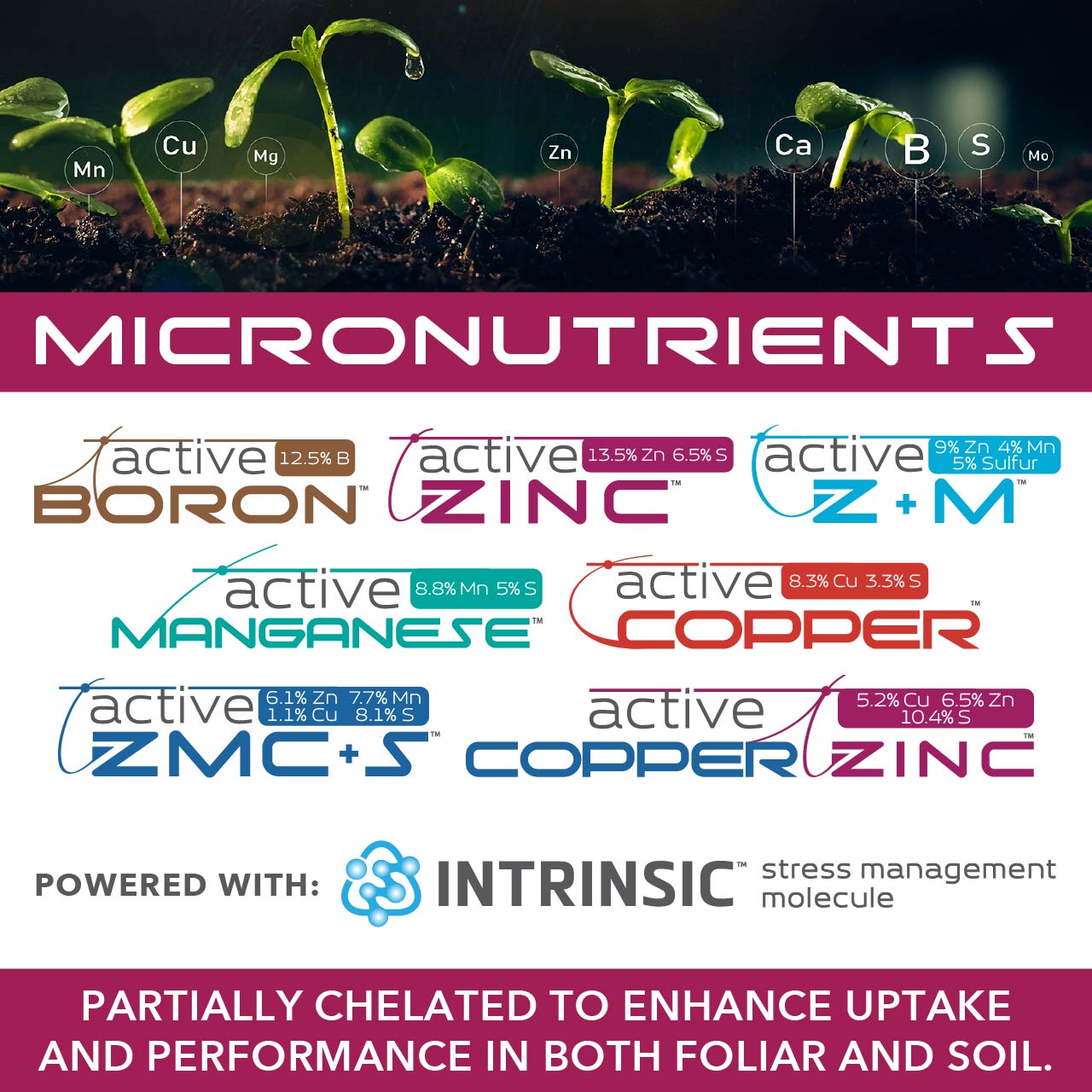 Active AgriScience Facebook ad: Micronutrients