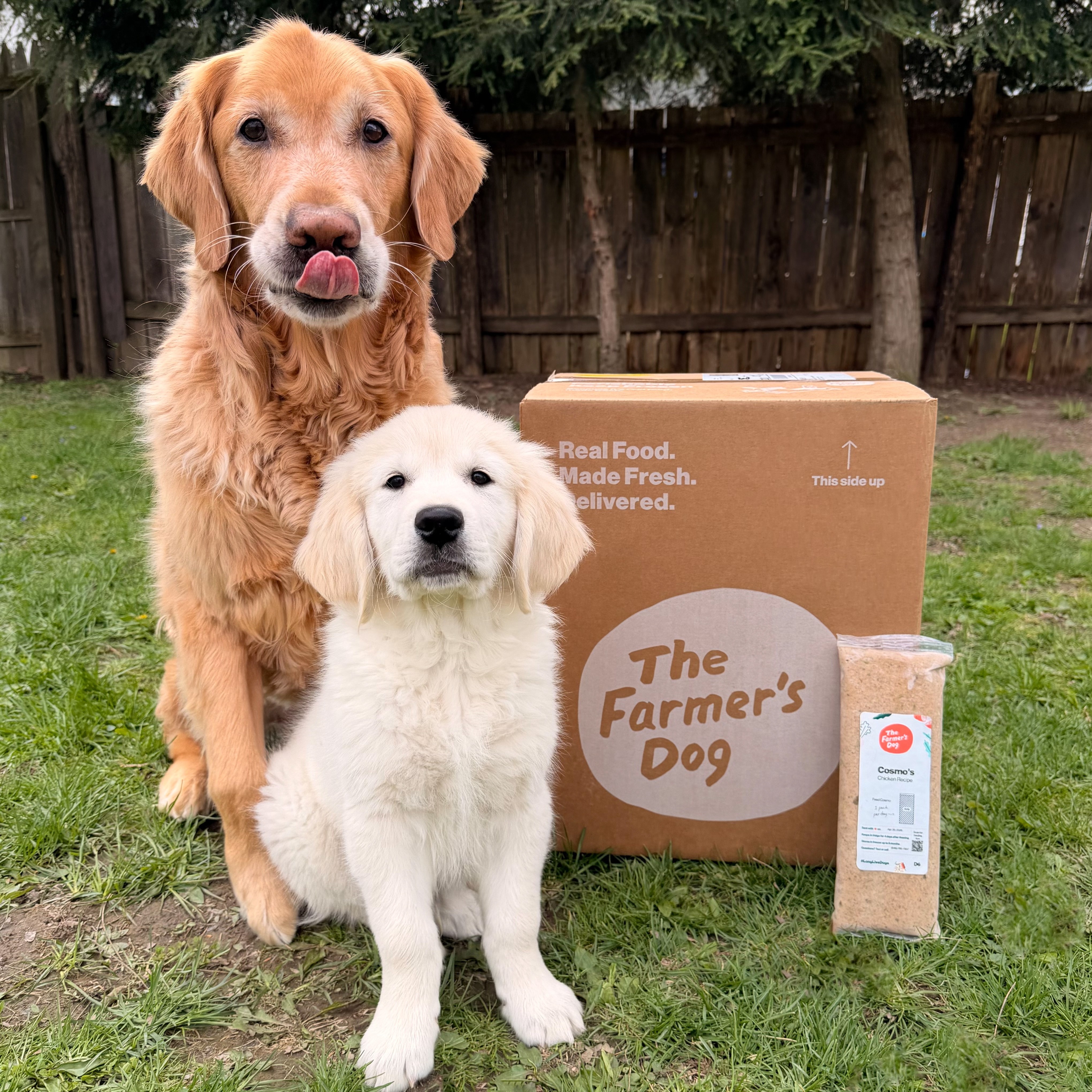 themgoldenboys Facebook ad
