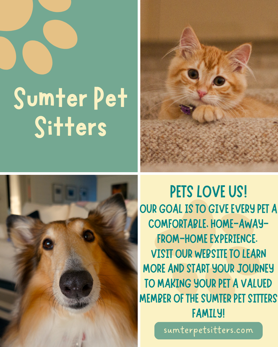 Sumter Pet Sitters Facebook ad