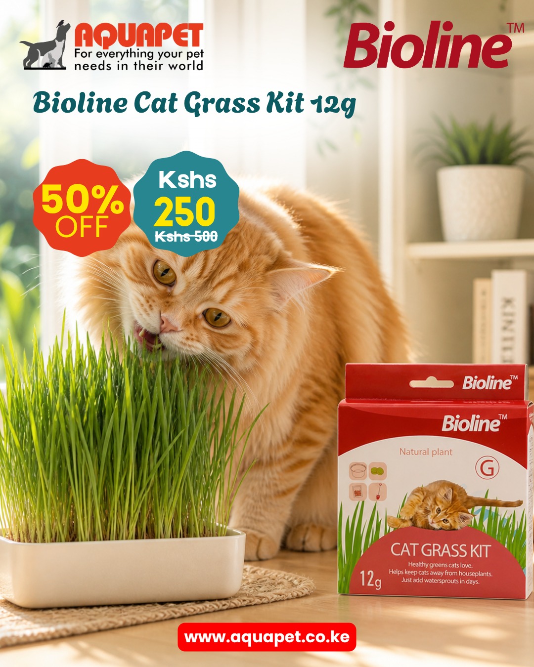 Aquapet Kenya Facebook ad