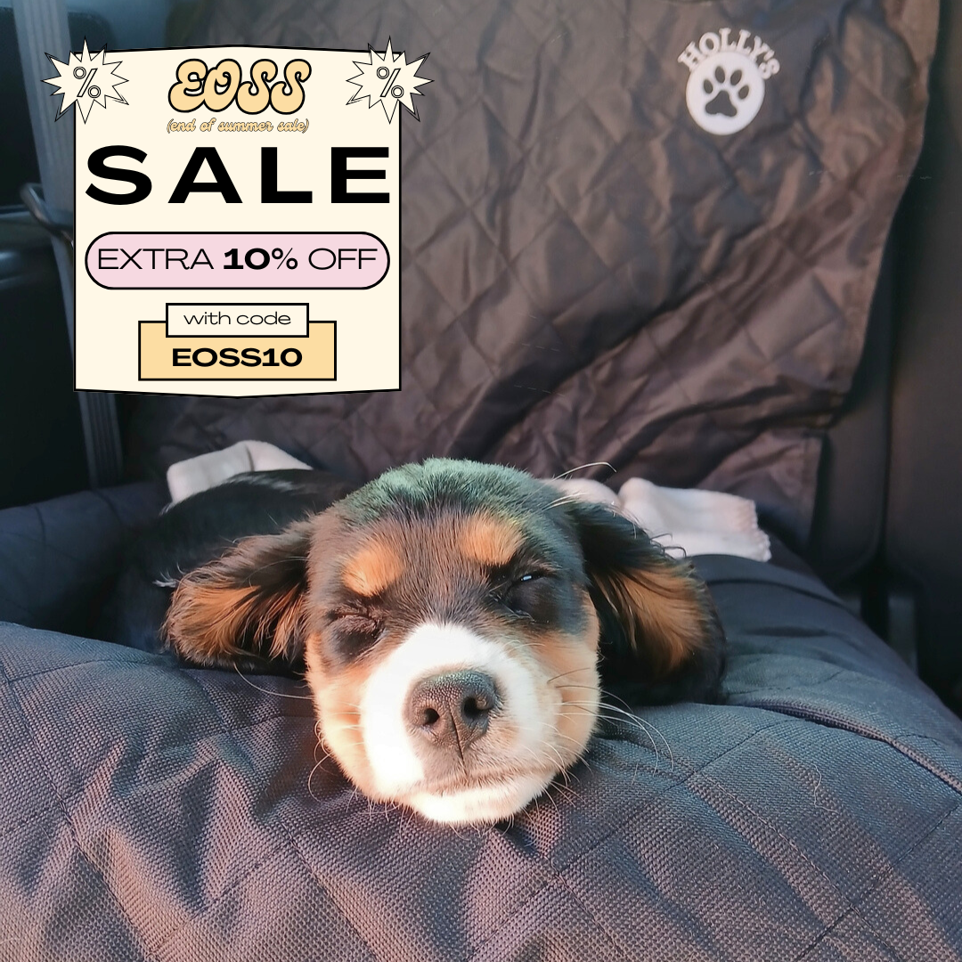 Hollys Paws Facebook ad