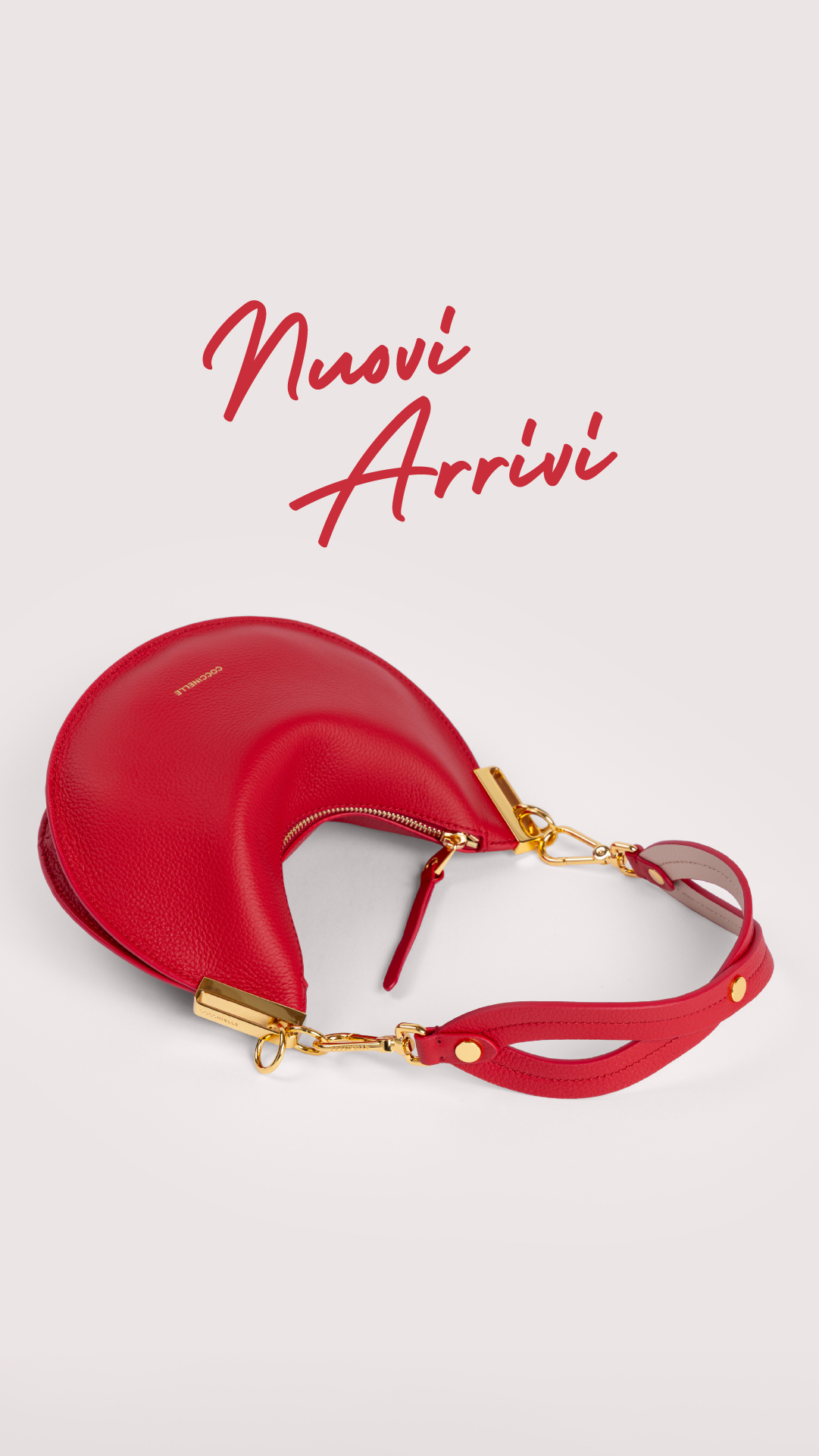 COCCINELLE Facebook ad