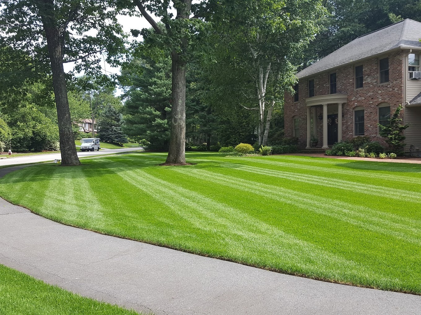 Rutland TurfCare and Pest Control Facebook ad