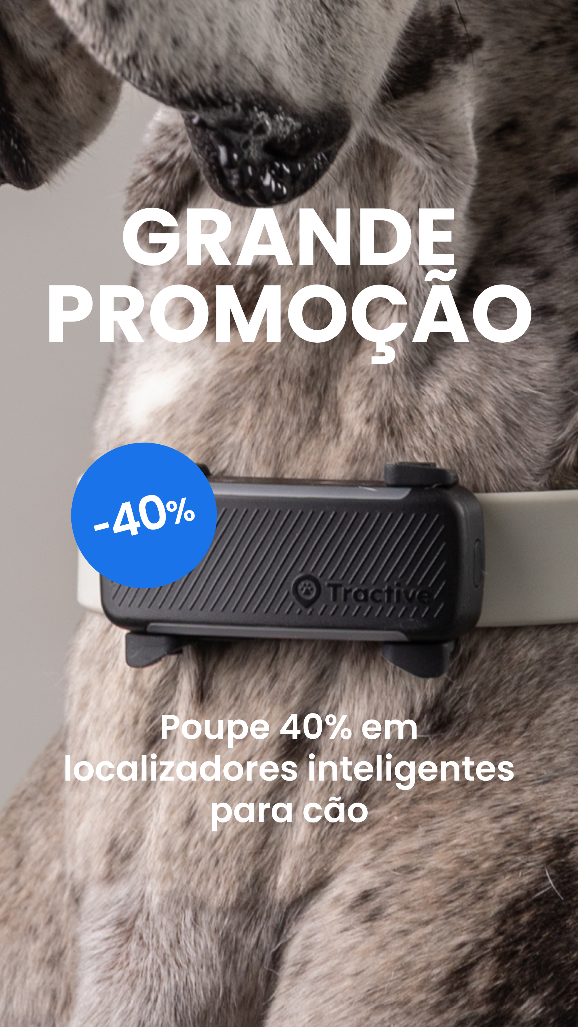 Tractive Facebook ad