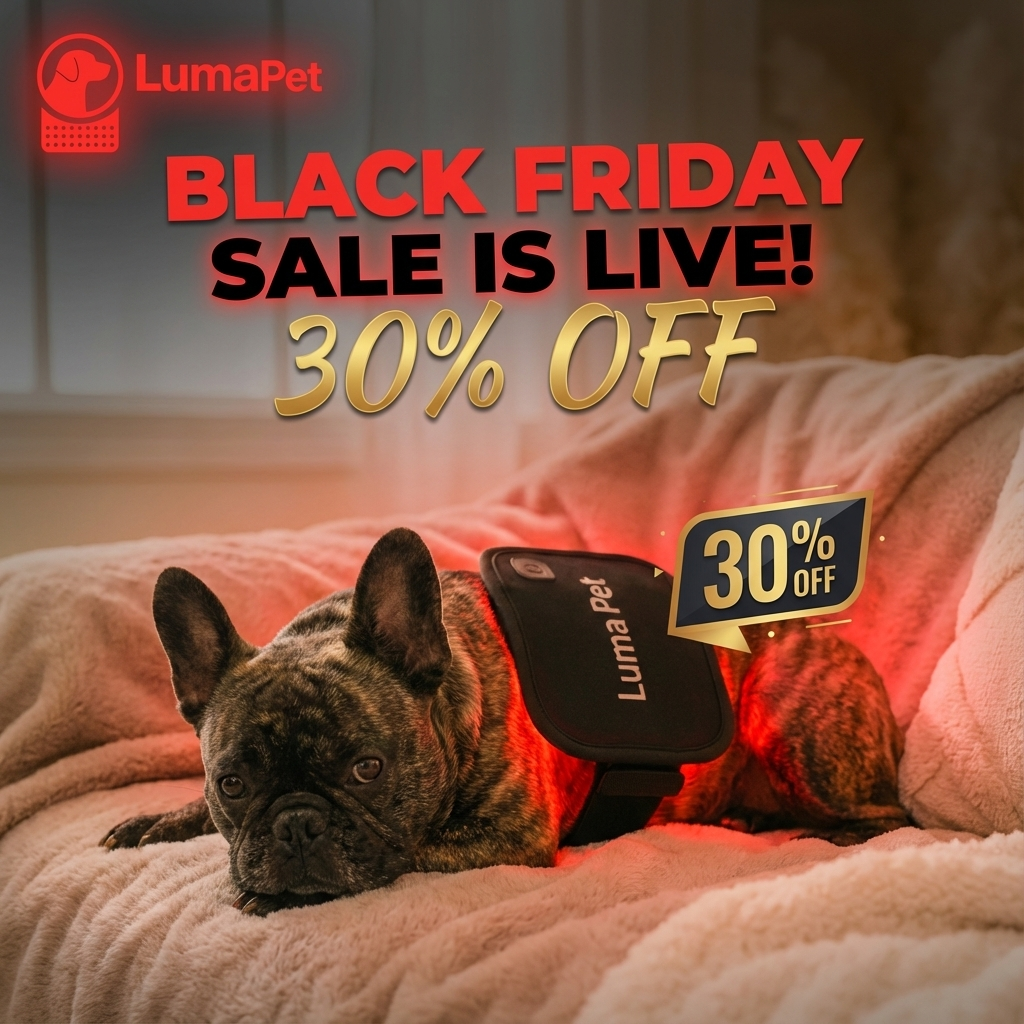 Luma Pet Facebook ad