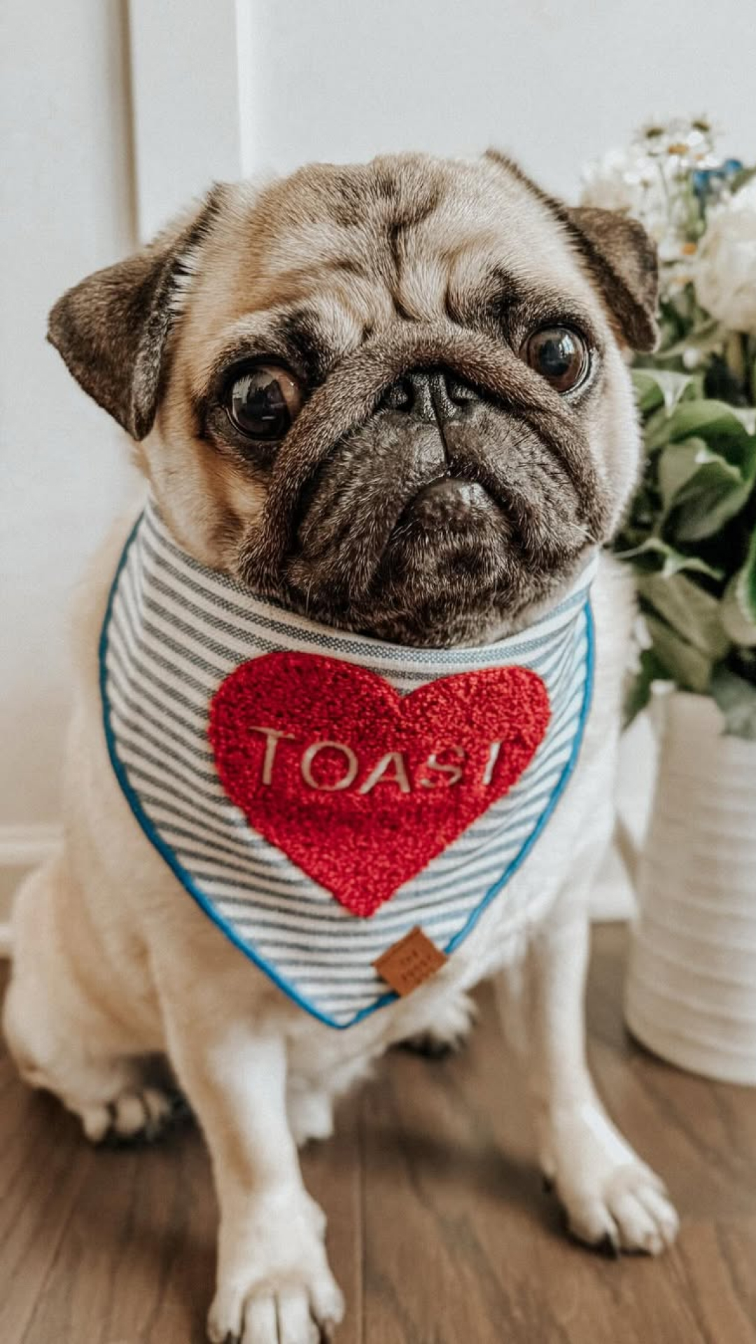 The Foggy Dog Facebook ad
