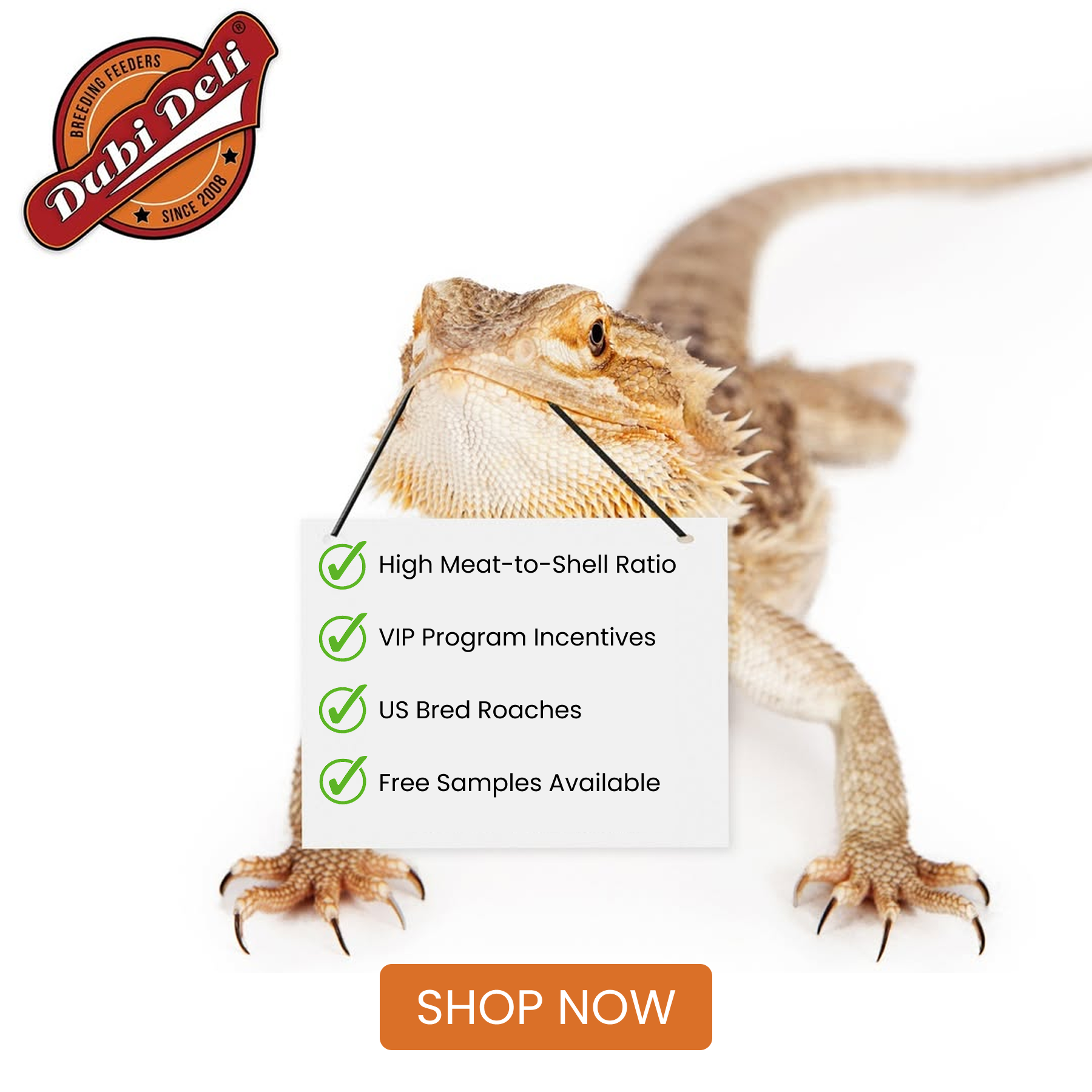 DubiDeli Facebook ad from Feb 19, 2026