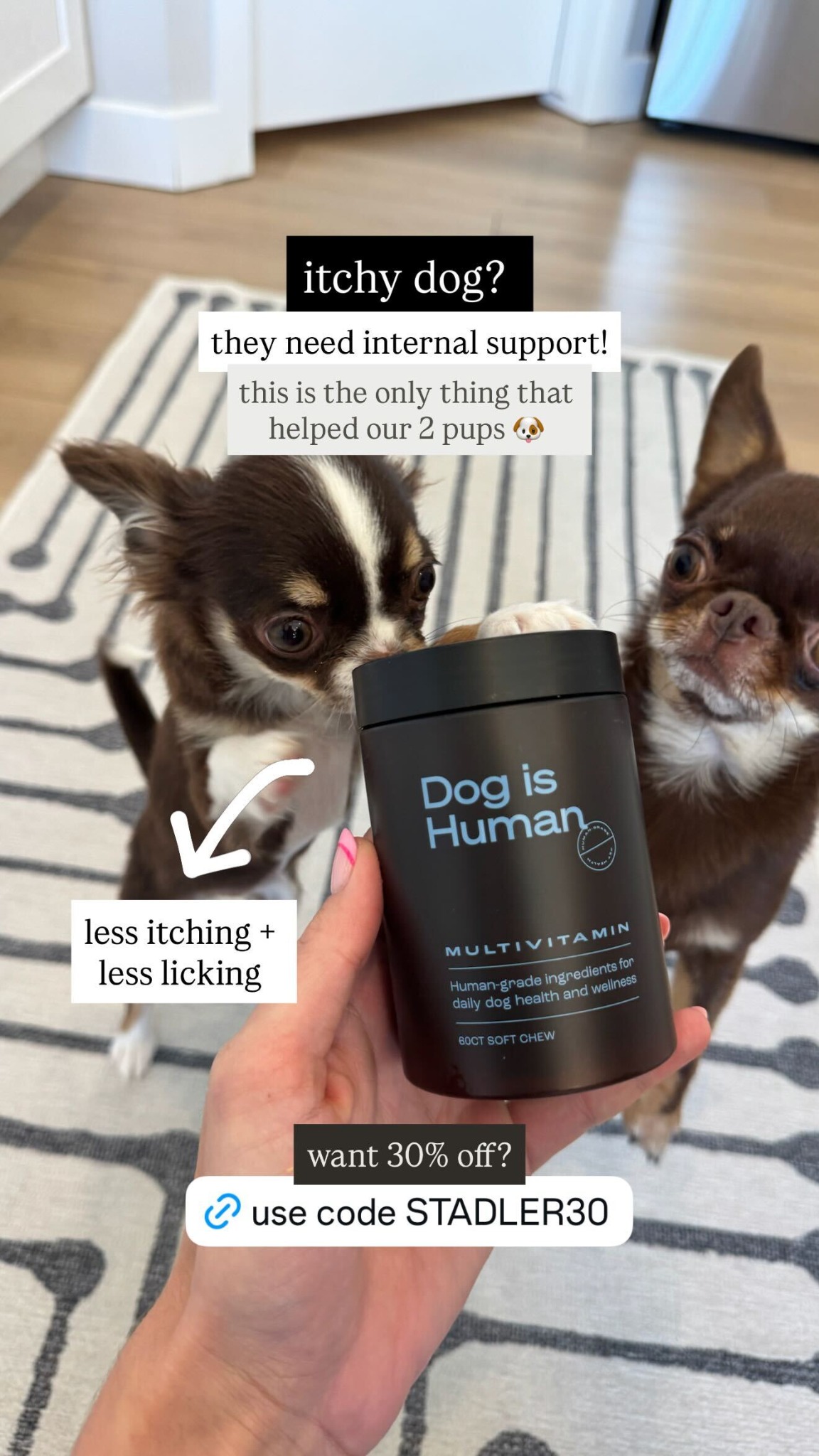 Dog is Human Facebook ad