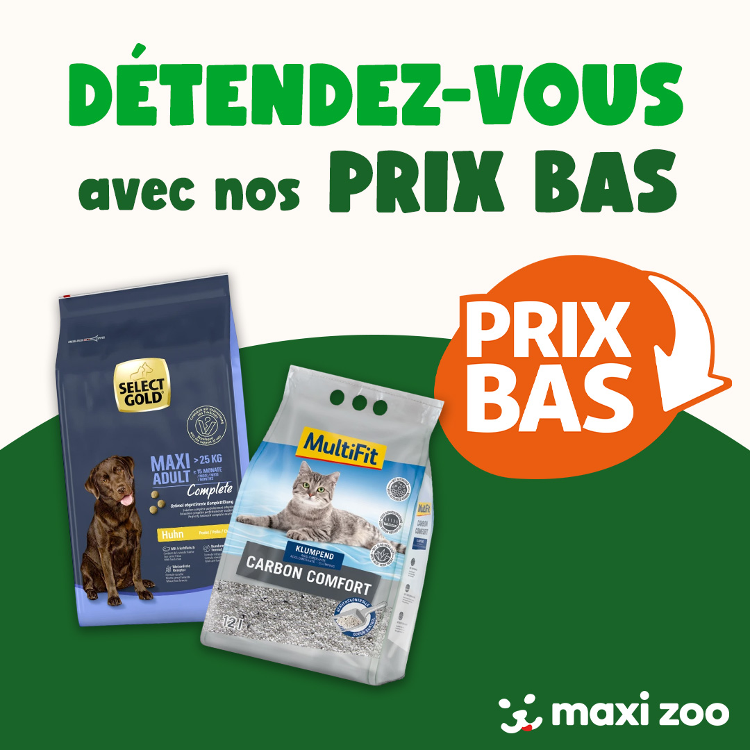 Maxi Zoo France Facebook ad