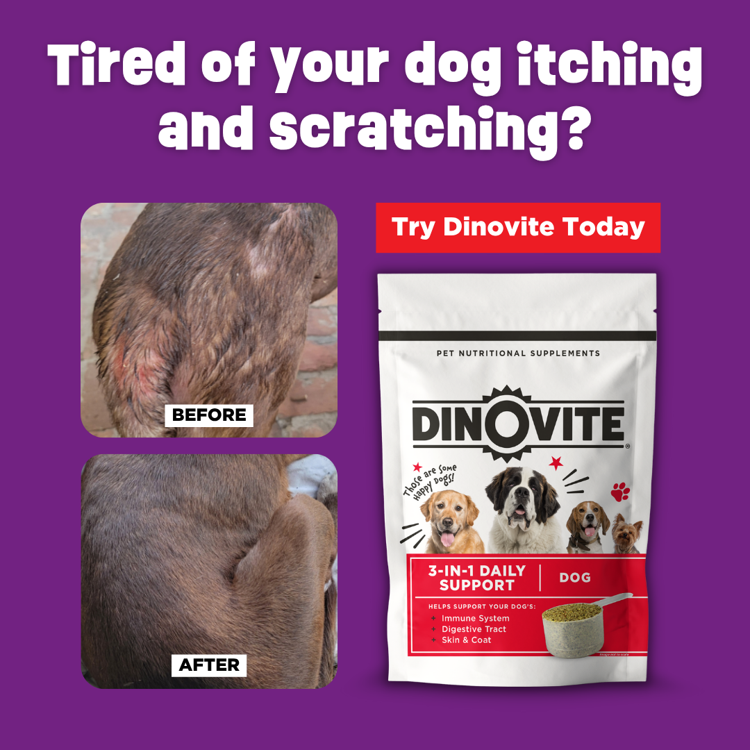 Dinovite.com Facebook ad