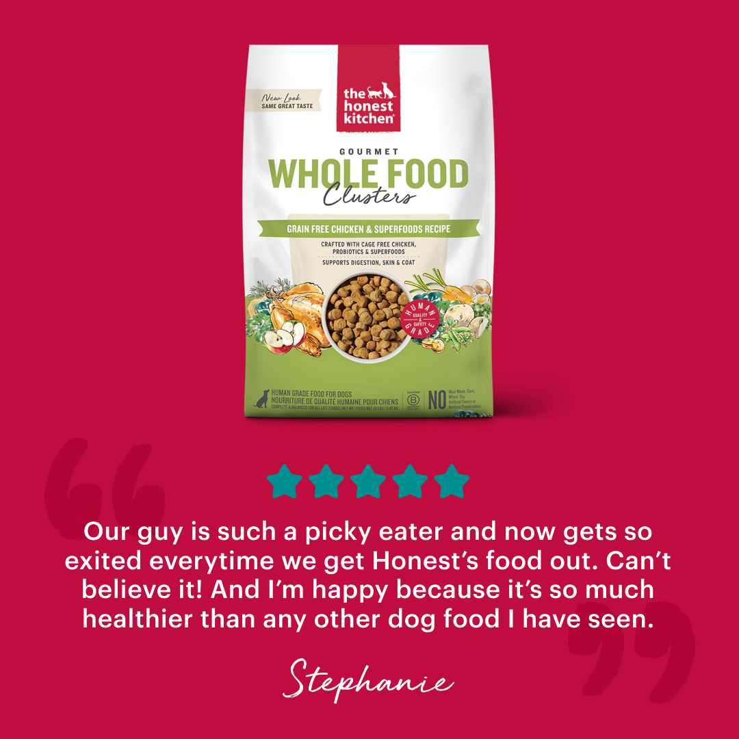 The Honest Kitchen Facebook ad