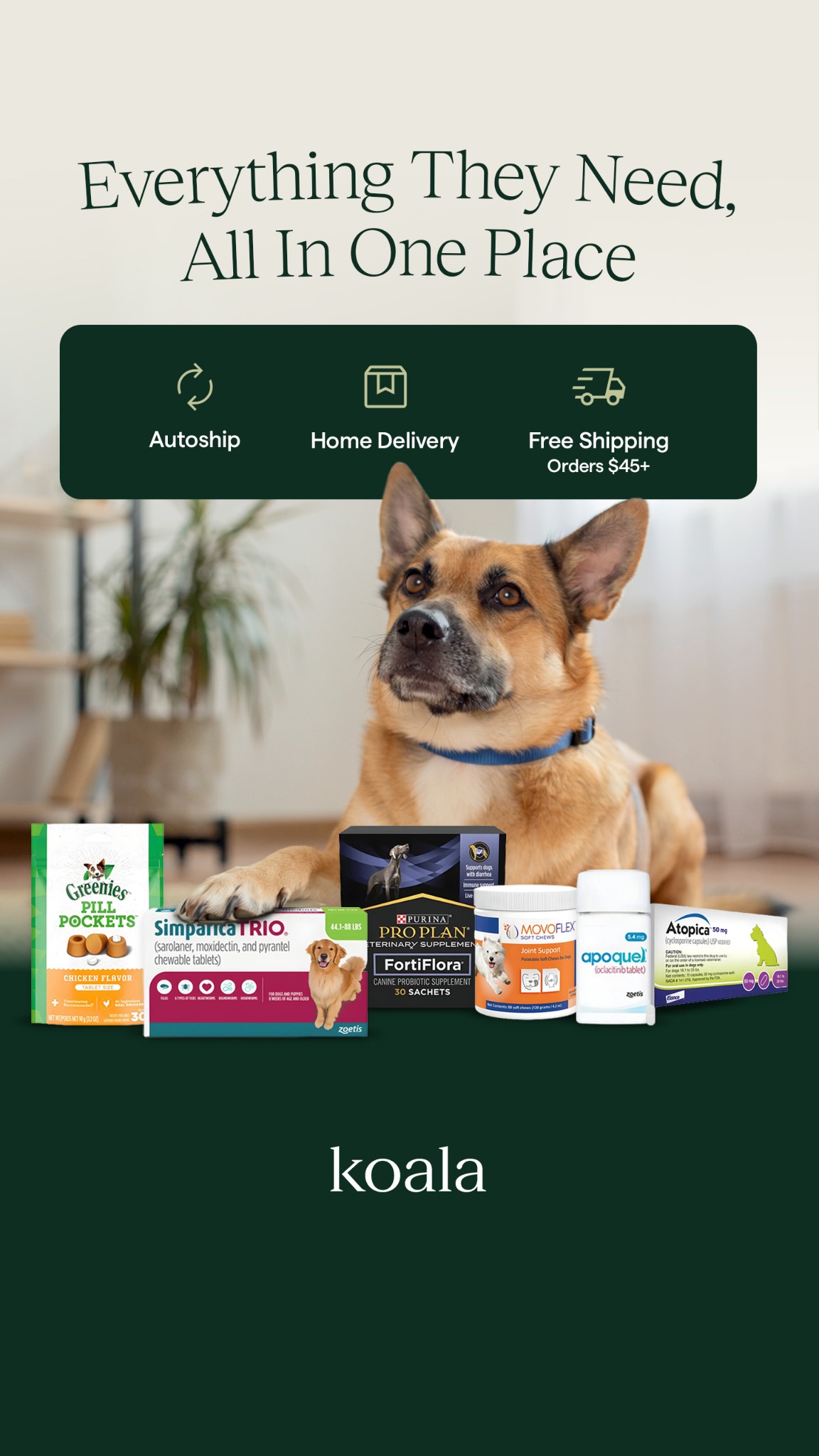Koala Health Facebook ad