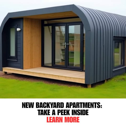 Daily Information Feed Facebook ad: Discover the Advantages of Backyard Apartments