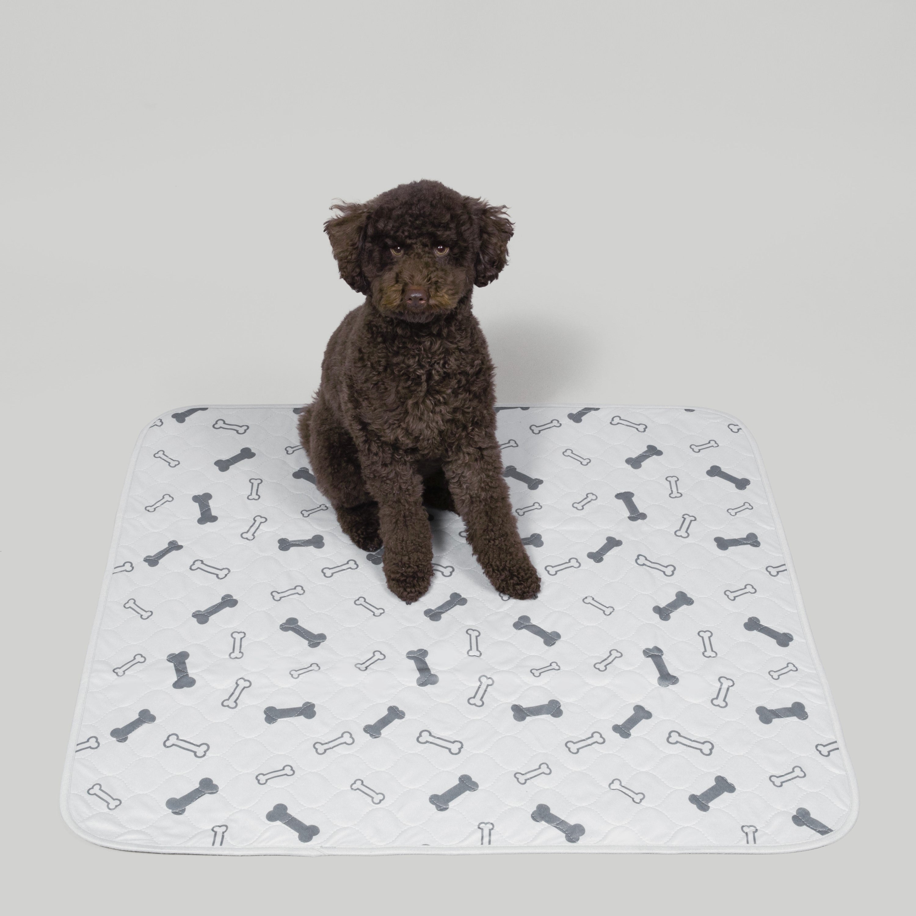 Potty Buddy Facebook ad