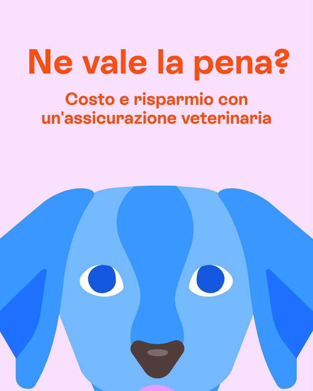 Barkibu Assicurazione Facebook ad