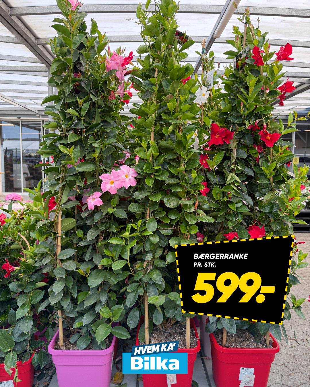 Bilka Facebook ad