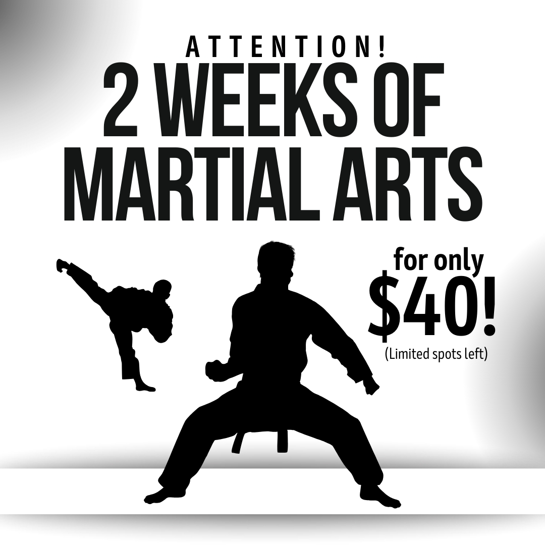 North Hills ATA Martial Arts Facebook ad