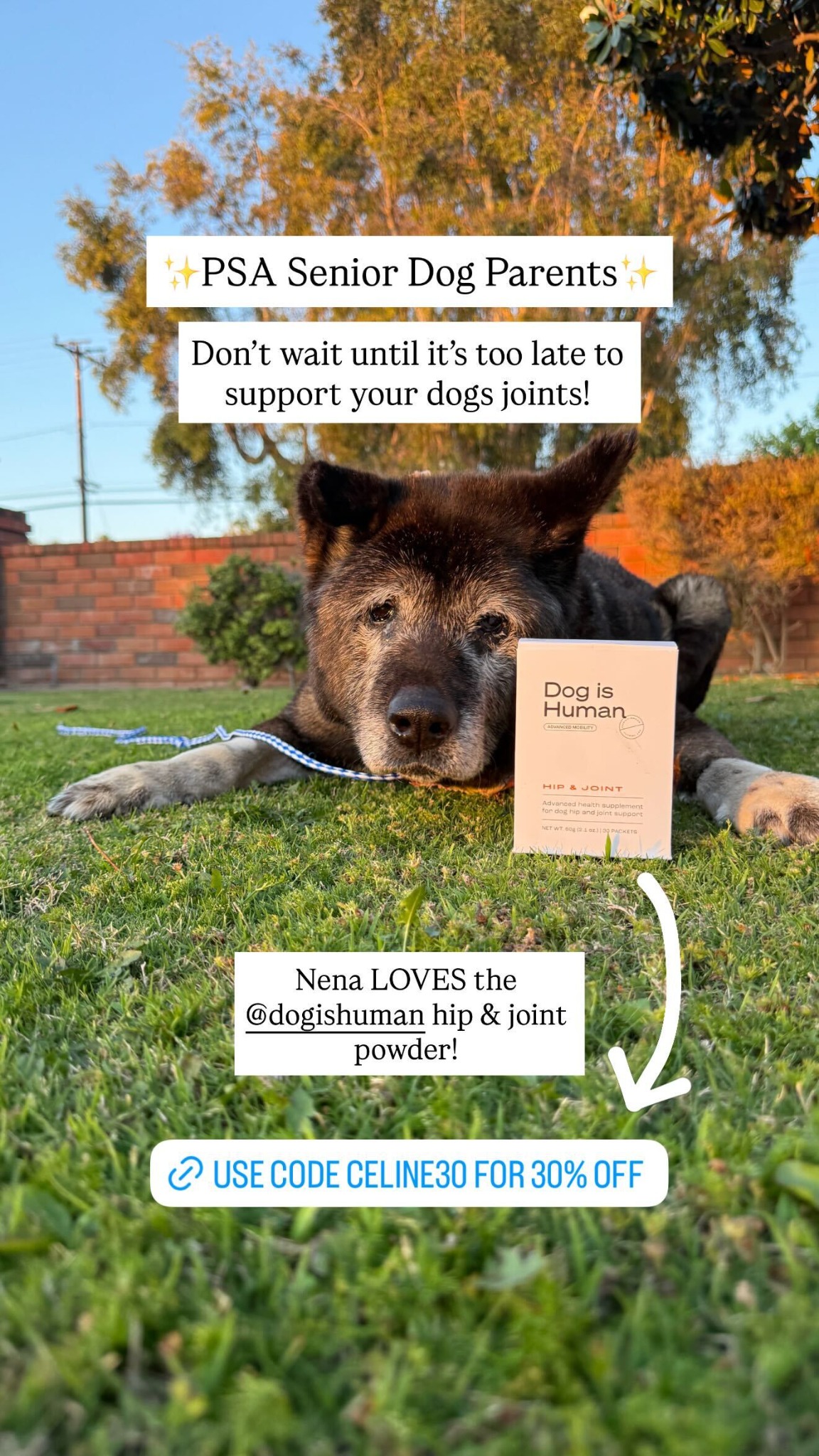 Dog is Human Facebook ad