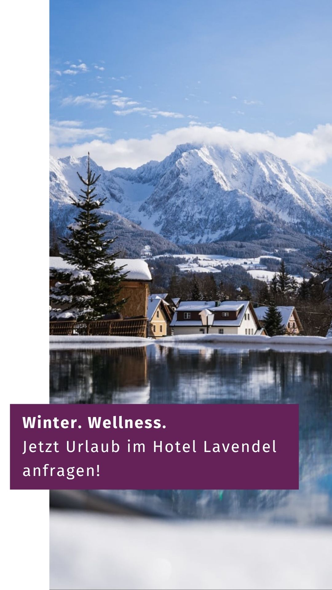 Hotel Lavendel - Wo Urlaub am schönsten ist Facebook ad from Dec 8, 2025