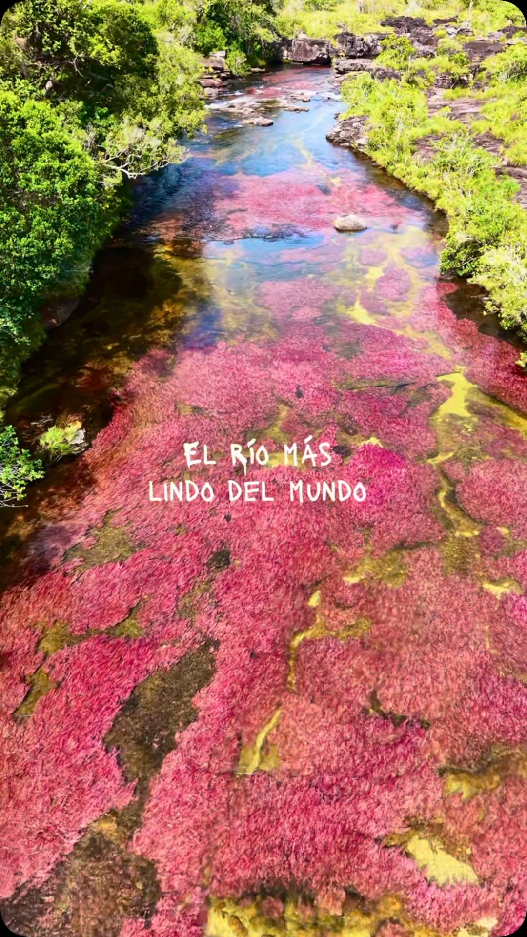 Road Trip Colombia Facebook ad: Caño Cristales no tiene cinco colores todo el…