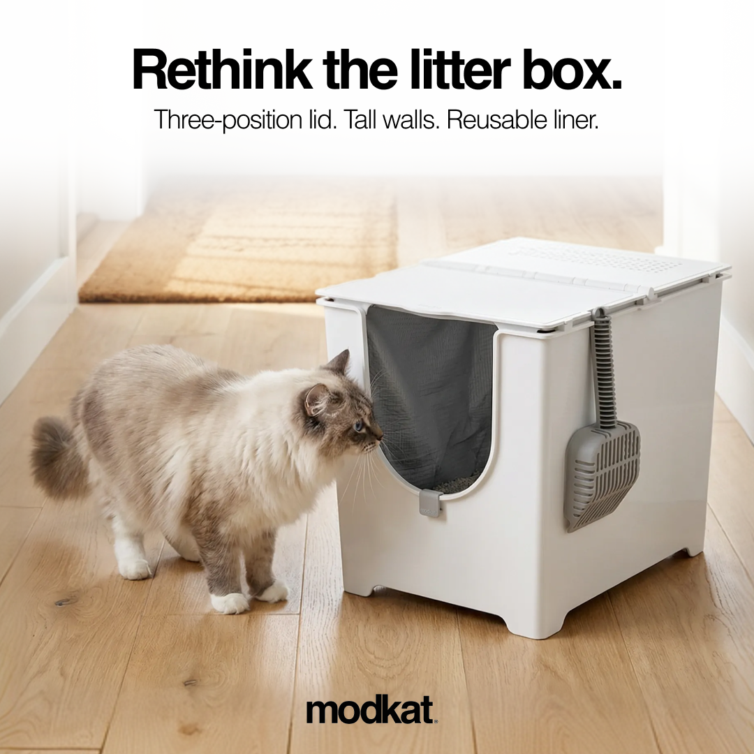 Modkat Facebook ad