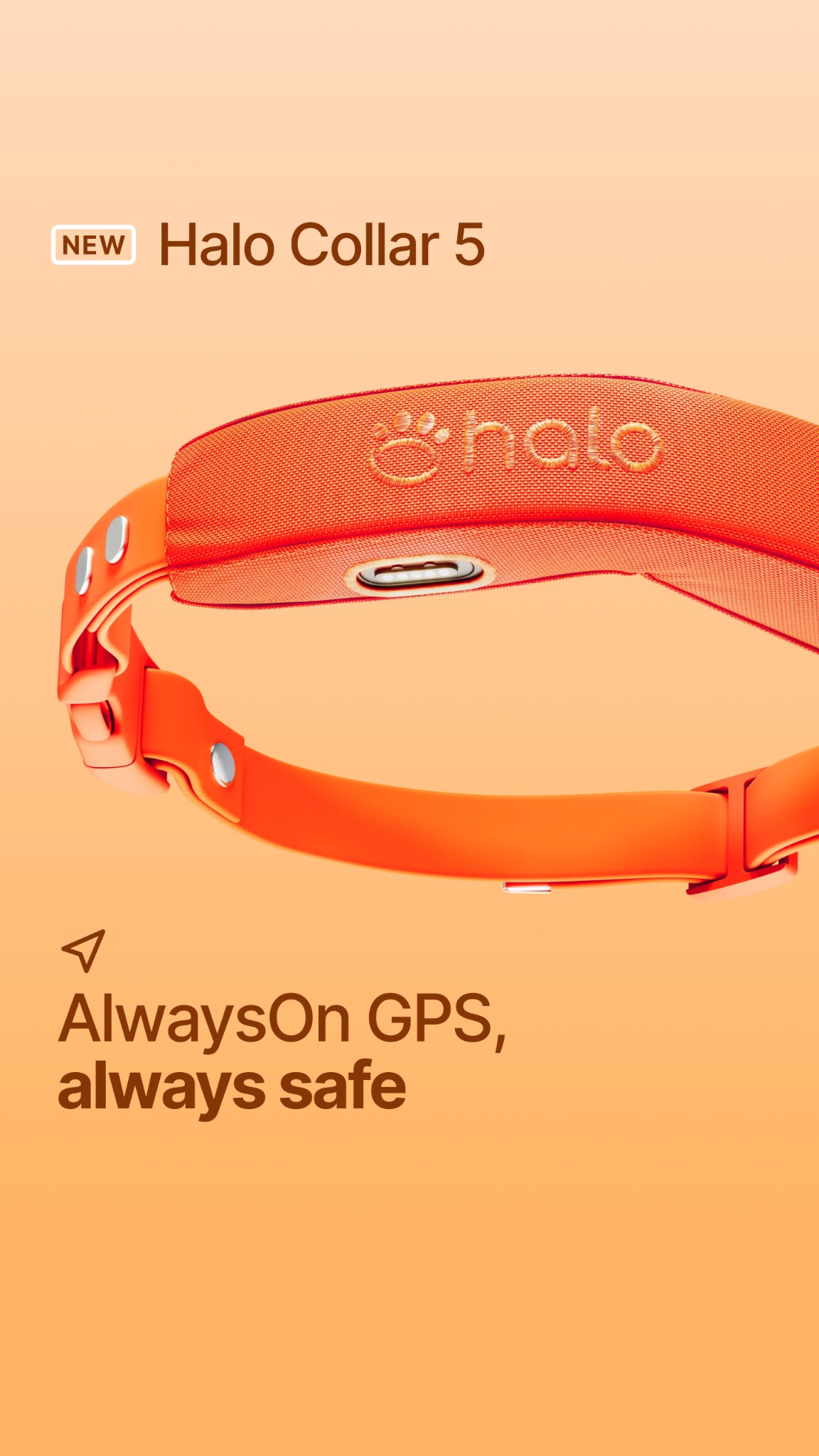 Halo Collar Facebook ad