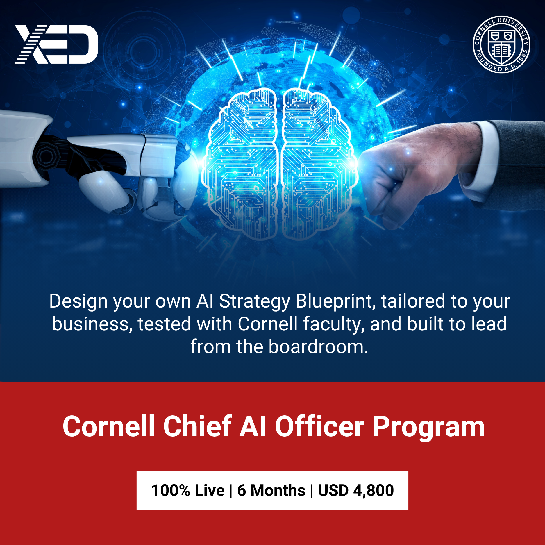 XED - Executive Development Facebook ad: Your AI Plan Starts Here