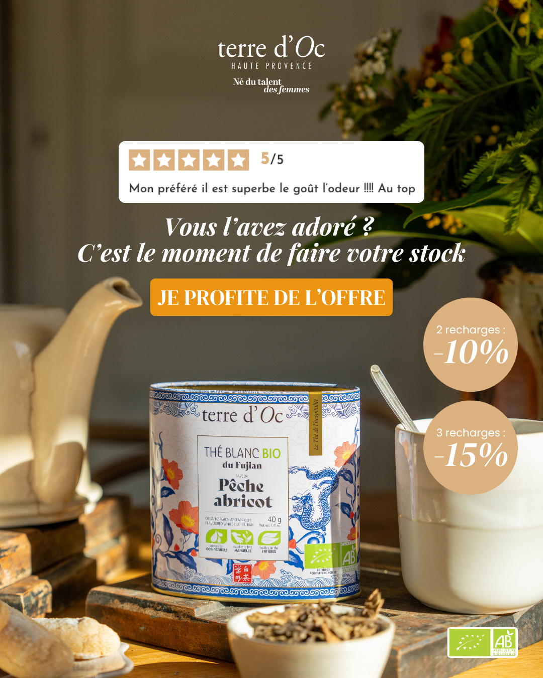 terre d'Oc Facebook ad