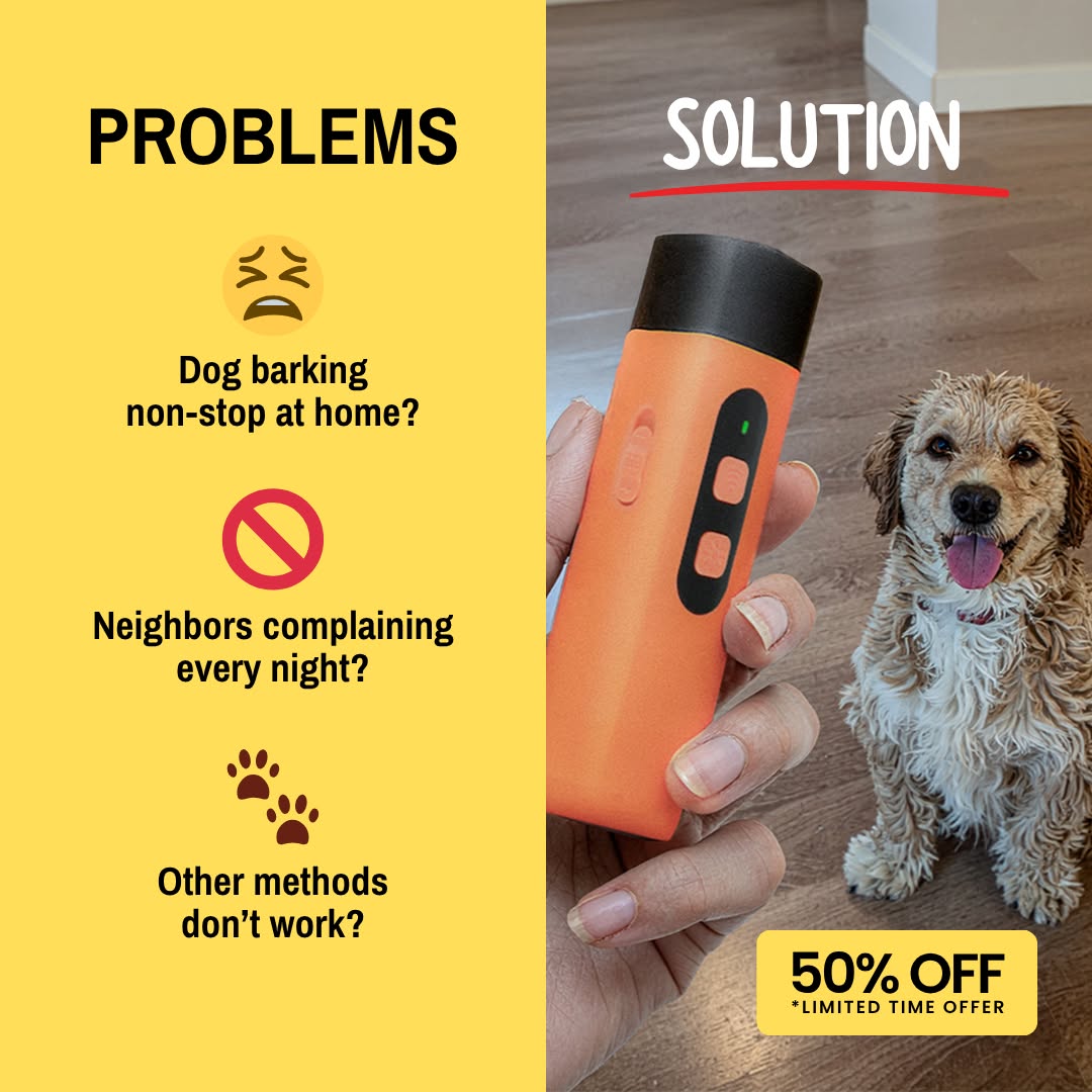 Hunters Doggy Daycare Facebook ad