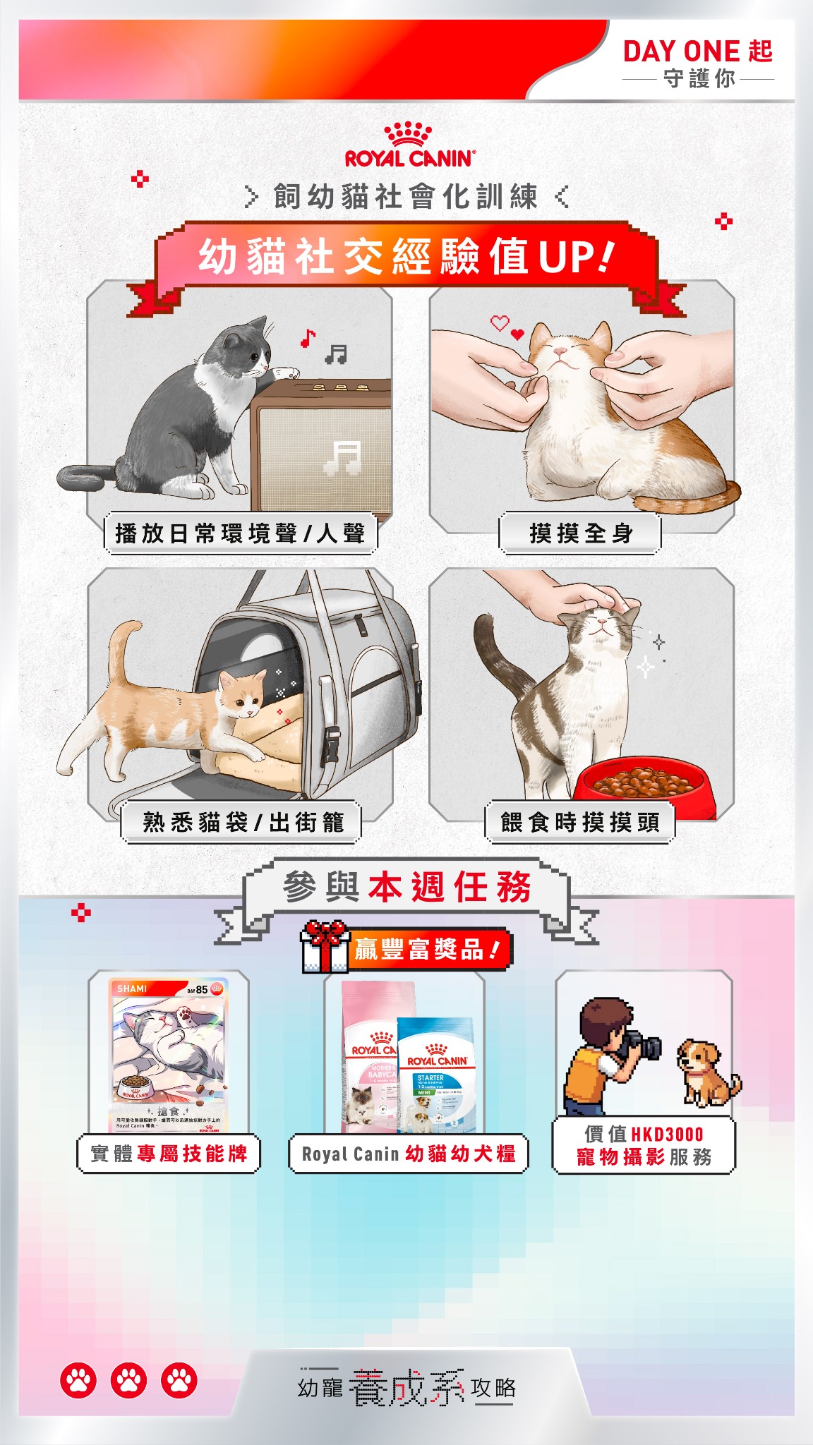 Royal Canin HK Facebook ad from Aug 6, 2026