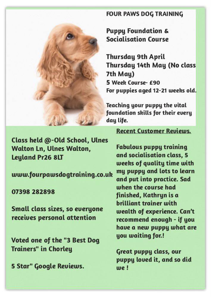 FOUR PAWS DOG Training-Leyland Facebook ad