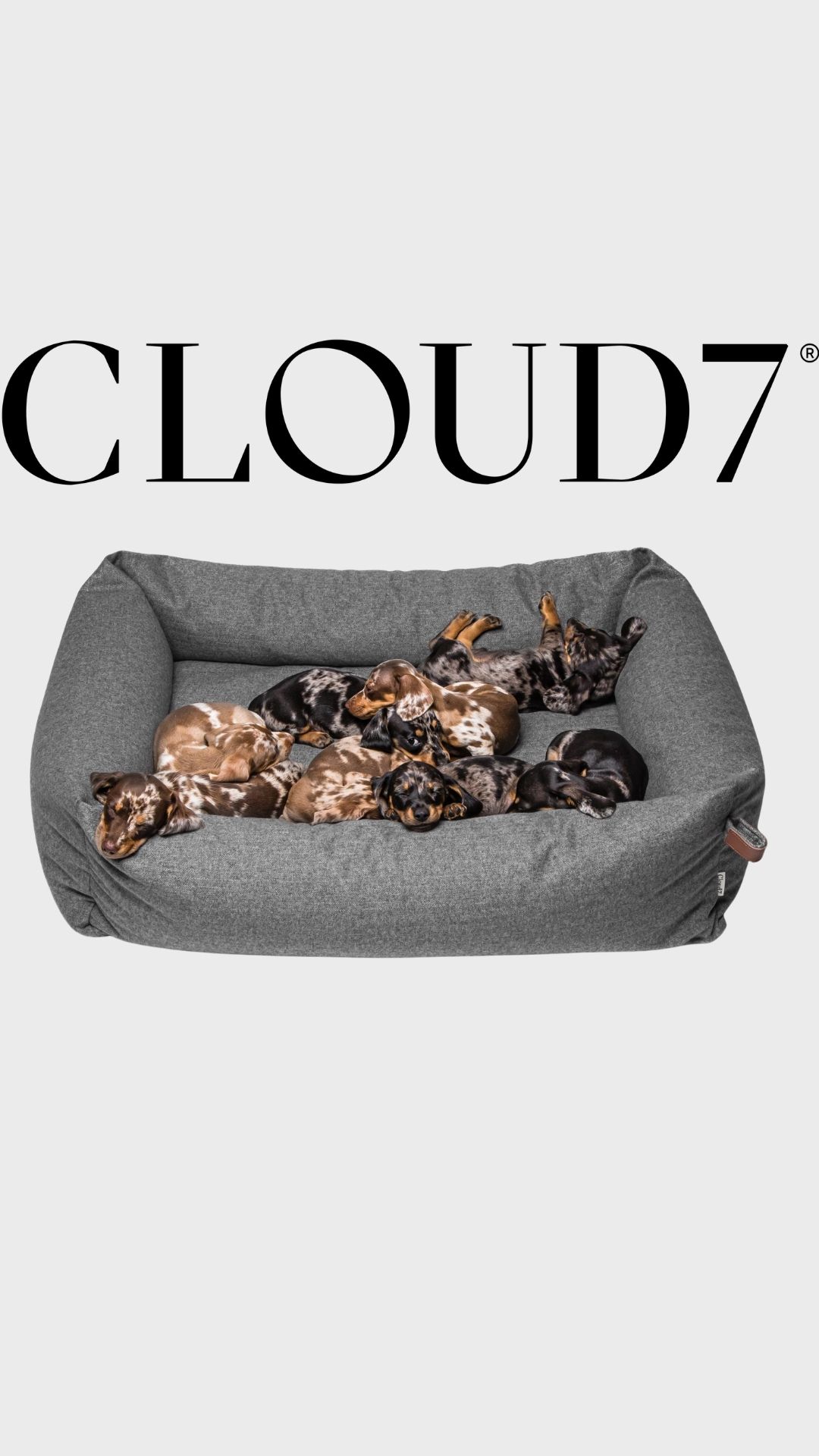 Cloud7 Facebook ad