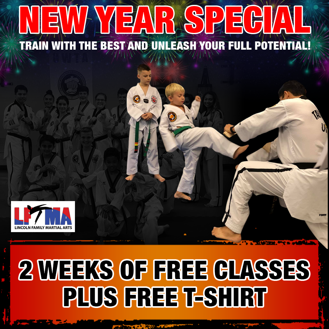 Lincoln Family Martial Arts Academy Facebook ad