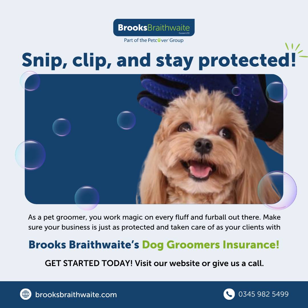 Brooks Braithwaite Facebook ad: Brooks Braithwaite | Pet Business Insurance Specialists