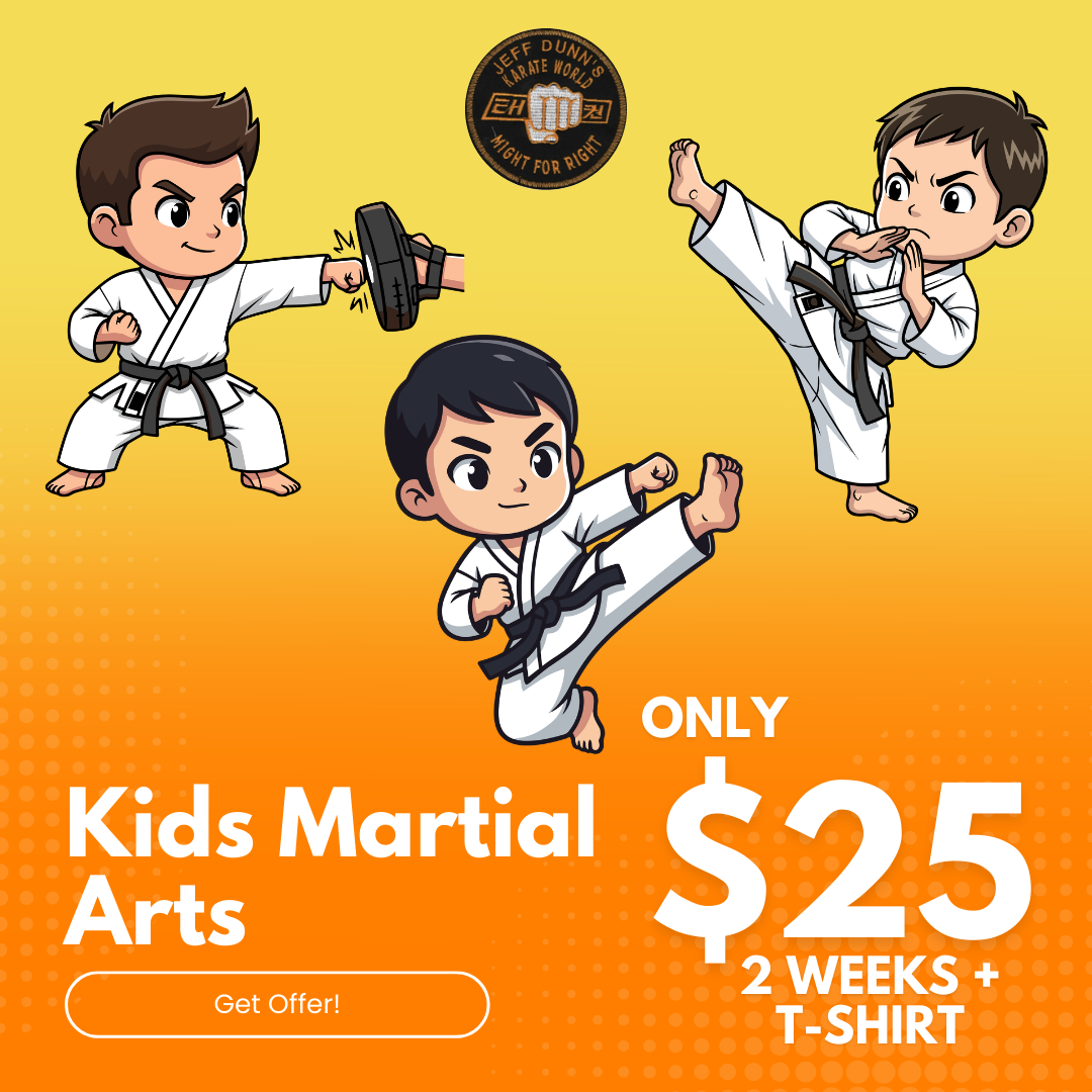 Karate World Kenilworth Facebook ad: Kids Martial Arts Deal: 2 Weeks for $25!
