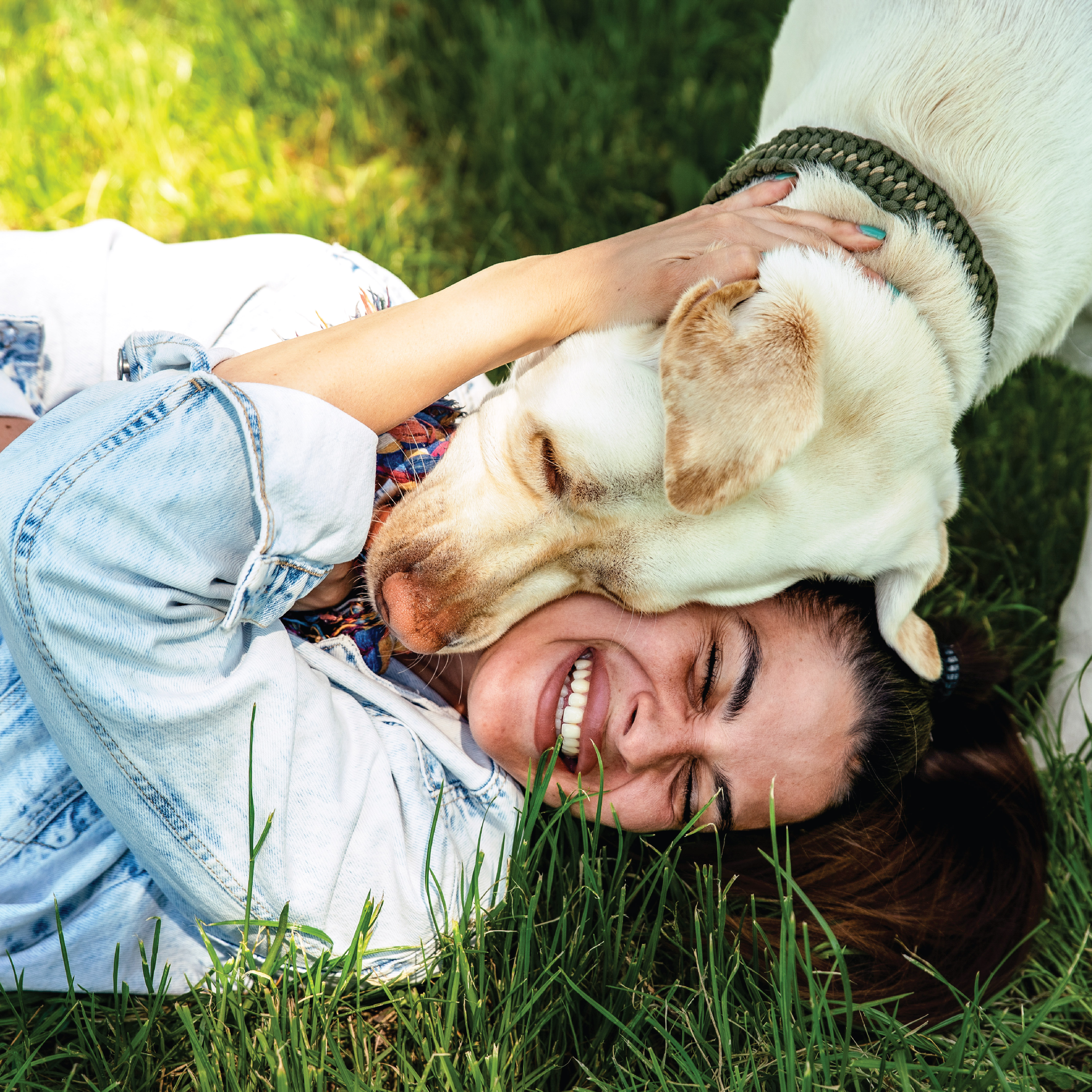 Butterfield Animal Hospital Facebook ad: The best adoption journeys are built on care…