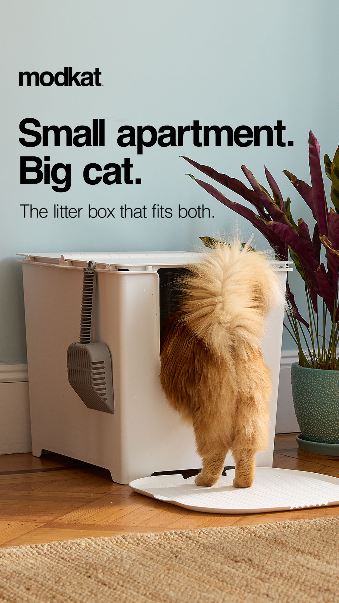 Modkat Facebook ad
