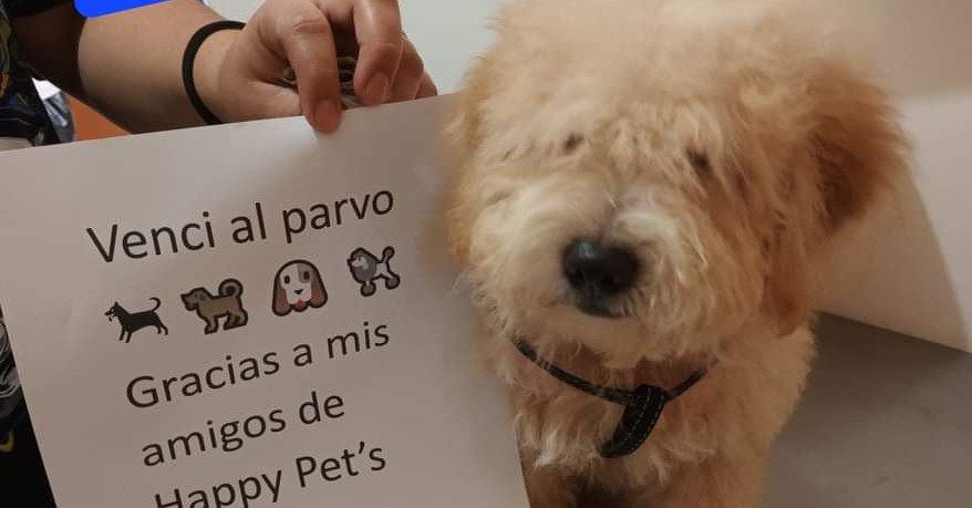 Veterinaria Happy Pet's Nuevo Lourdes. Facebook ad: Somos especialistas cuidando de tu mascota con…