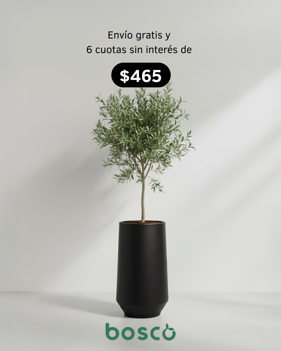 Bolgror Facebook ad: Maceta Bosco de diseño minimalista, ideal para decorar…