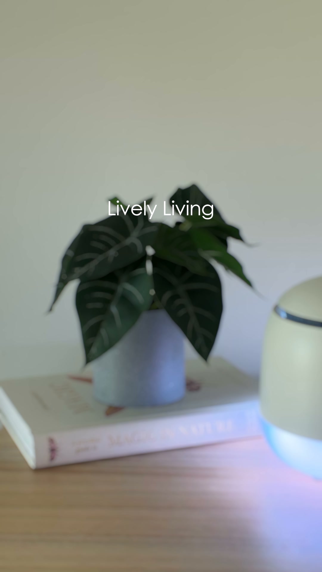Lively Living Facebook ad: More Than Just A Diffuser