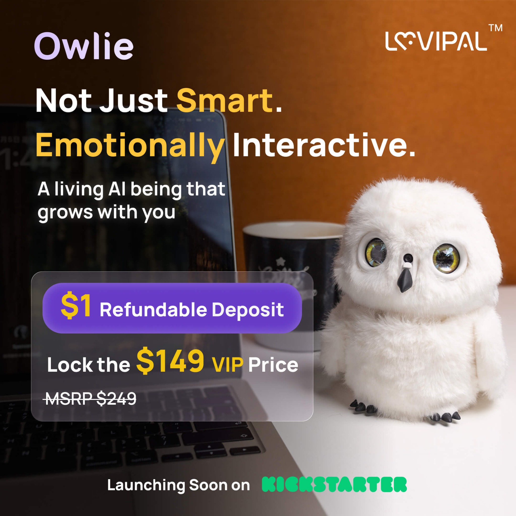 Owlie Facebook ad