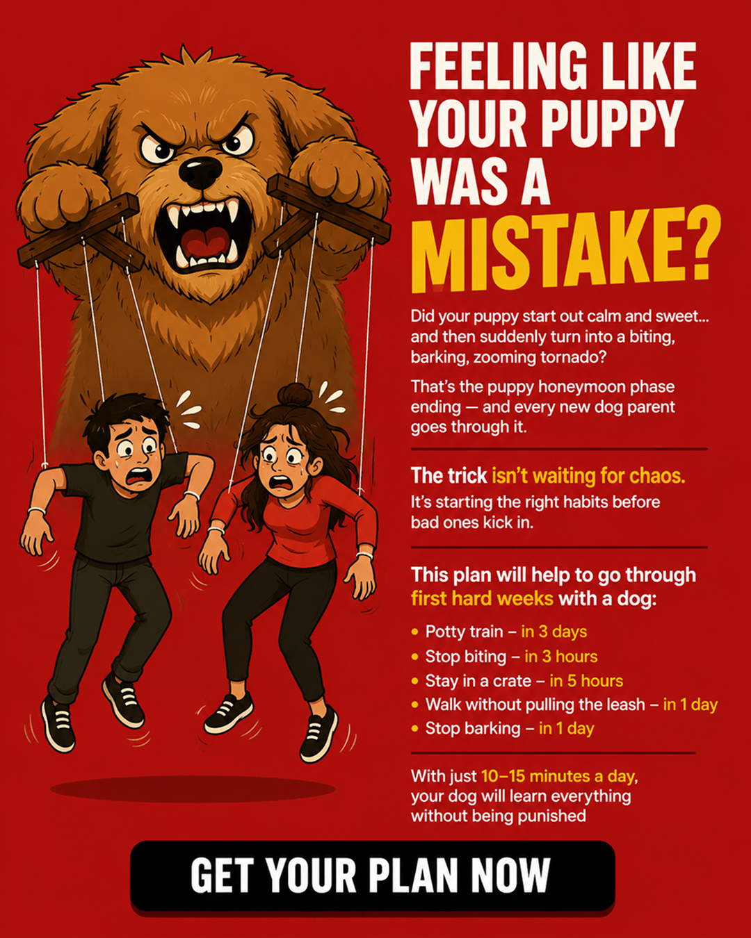 Ben Your Puppy Trainer Facebook ad